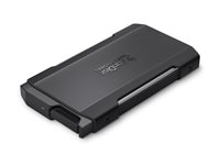 SanDisk Professional PRO-BLADE TRANSPORT - SSD - 2 TB - extern (portabel) - USB 3.2 Gen 2x2 (USB-C kontakt) SDPM2NB-002T-GBAND