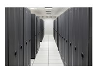 HPE SimpliVity 325 Gen11 - Right-To-Use license (RTU) - 1 processor S4U78AAE