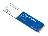 WD Blue SN570 NVMe SSD WDS250G3B0C - SSD - 250 GB - inbyggd - M.2 2280 - PCIe 3.0 x4 (NVMe) WDS250G3B0C