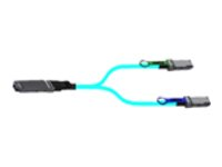 NVIDIA - 200GBase till 2x 100GBase direktansluten splitterkabel - OSFP finned till QSFP56 platt - fiberoptisk - Active Optical Cable (AOC) 980-9I111-00H005