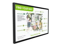 Philips 55BDL3751T - 55" Diagonal klass (54.5" visbar) - Interactive 3000 Series LED-bakgrundsbelyst LCD-skärm - digital skyltning - med pekskärm (multitouch) - Android - 4K UHD (2160p) 3840 x 2160 - svart 55BDL3751T/00
